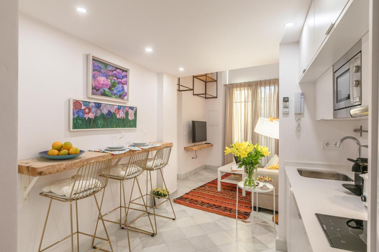 Loft Duplex Seville